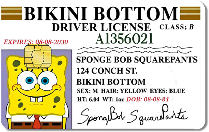 Meme Credit Card Sticker #198